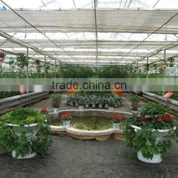 Hot Sale Large Size Multi-span Commercial Glass Covering Greenhouse photo-3