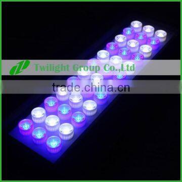 Three Channel Twlight Group New LED Aquarium Light photo-2