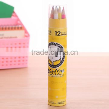 Cardboard Tube Color Pencil Set 12