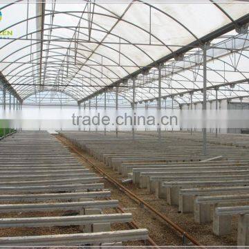 Large size agricultural plastic film greenhouse for planting vegetable