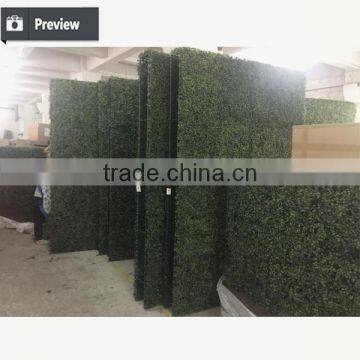 Dongguan Factory Direct Sale Artificial Green Wall Vertical Green Wall Milan Grass Wall photo-5