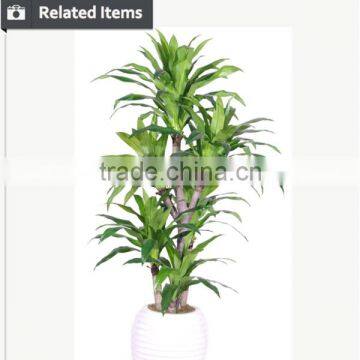 Cheap Artificial Large Potted Plants for Living Room Setting photo-5