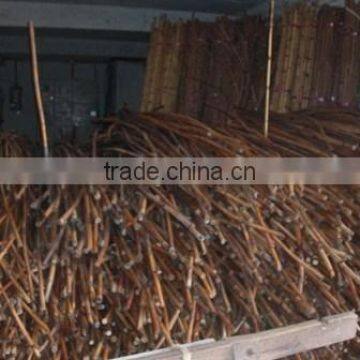 Raw Rattan Cane, Rattan, Cane, Rattan Meterial, Raw Material, Rattah Raw Mateiral, Rattan Cane, Rattan Pole, Pole, Raw photo-3