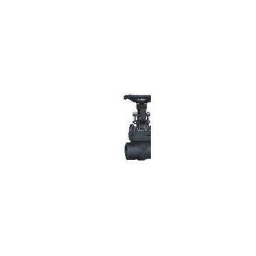 we supply Forged steel globe valve