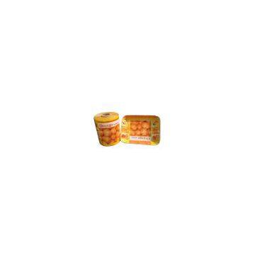 In-Mould Label for Dish