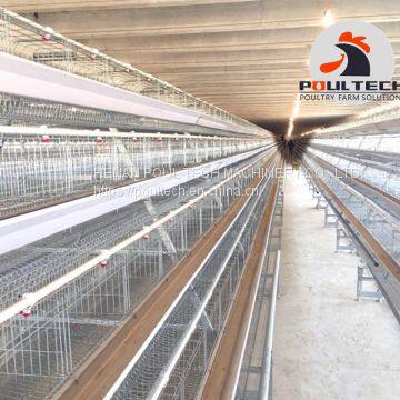 Layer Chicken Cage Equipment for Poultry Farm photo-5