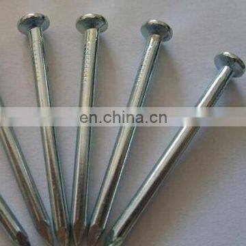 Electro Galvanized Concrete Nails/Steel Nails