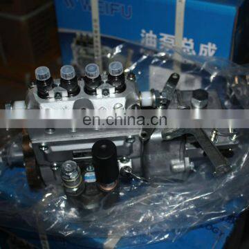 1111000A151-JH2LW Weifu BHF4PW110002 fuel injection pump 4PW873 for Xichai 4110/125-JH2L