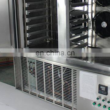 Restaurant Commercial Quick Food Freezing Blast Freezer for Fish photo-3