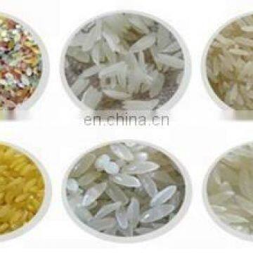 China Jinan Saixin Instant Nutritional Artificial Reconstituted Rice Porridge Making Extruder Machine photo-4