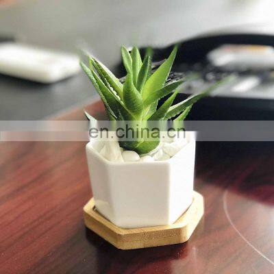 Decorative White Hexagonal Ceramic Succulent Cactus Flower Pot With Wooden Tray Ceramic Flower Planter photo-2
