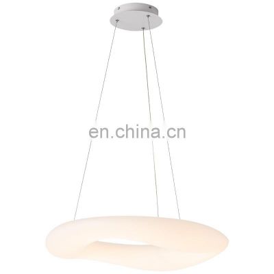 Nordic Japanese LED Chandelier Simple Design Ceiling Hanging Lamp For Dining Room Living Room Bedroom Ring LED Pendant Light