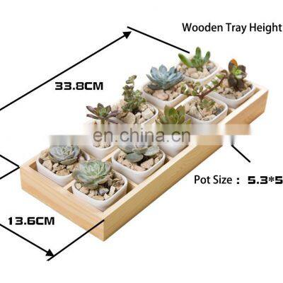 Factory Planter Vase Set Luxury 10 Pcs Small Pots Flower Pot Golden Wood Tray Felt Ceramic Home Used With Flower/green Plant 30 photo-5