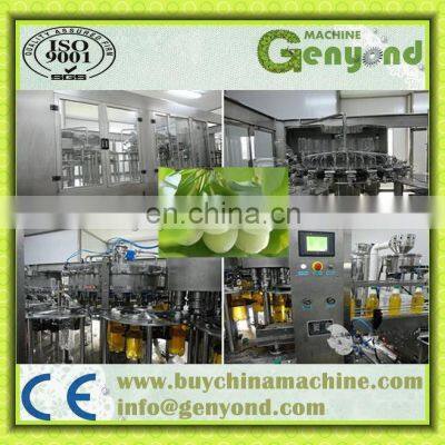 Small Capacity Ginkgo Juice/fresh Fruit Juice Production Line /plant /processing Line /equipment photo-4
