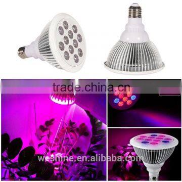 2016 New 12W E27 Par38 Red Blue LED Grow Light Bulb LED Plant Grow Light, E27 12w Indoor Garden Hydroponic Plant Grow Led Light photo-6