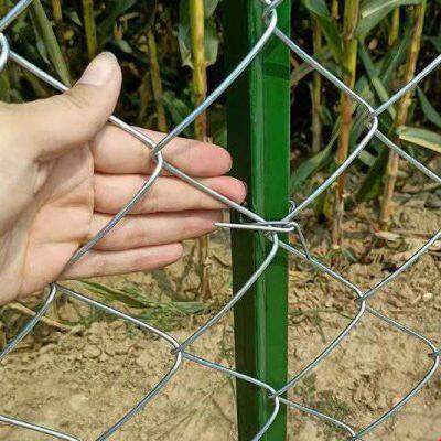 Verzinkter Kettenzaun mit einem Drahtdurchmesser von 2,5 mm und einer Maschengröße von 50 mm photo-4