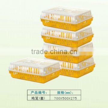 China shenzhen plastic poultry crate mold chicken cage mold