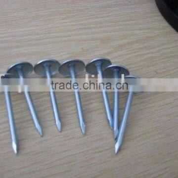 umbrella head roofing nails factory