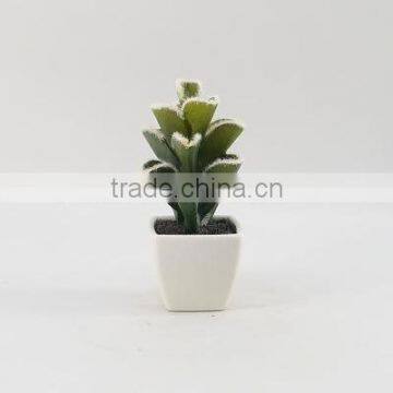 Best selling high simulation tropical plants artificial mini succulent plants