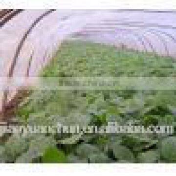 Three layer EVA agriculture greenhouse Film