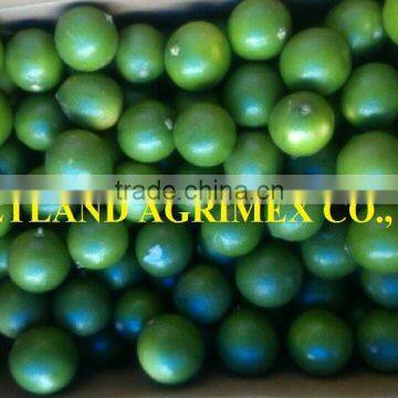 FRESH LEMON/LIME SEEDLESS HIGH QUALITY/ GREEN COLOR/BIG SIZE