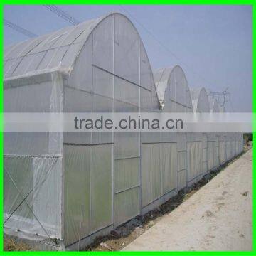 Polythene Anti Insect Netting Export Thailand photo-4