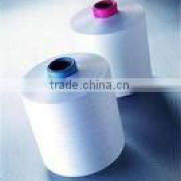 Stretch nylon 6 monofilament yarn dty white hangzhou