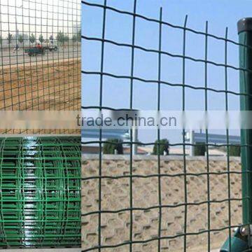 Holland Wire Mesh/Holland Fence/Euro Fence (Competitive Price) photo-2