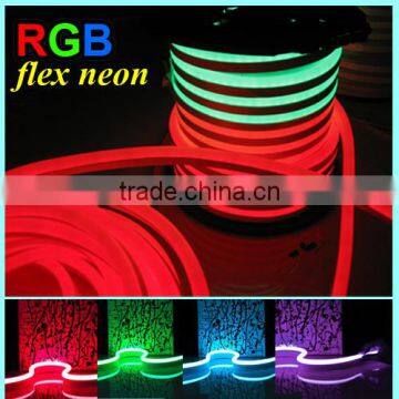 IP65 waterproof AC220V/AC110V/DC24V RGB Neon light