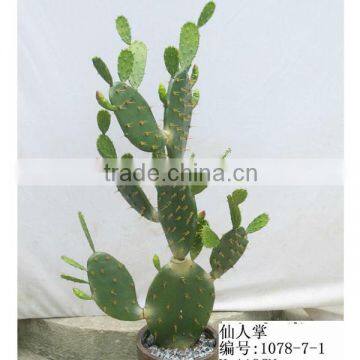 Fake cactus hot sale in 2013