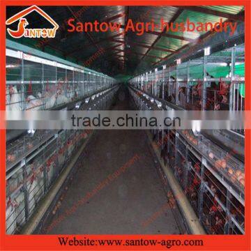 Stable Steel Structure Chicken Layer Cages South Africa Poultry Farm photo-6