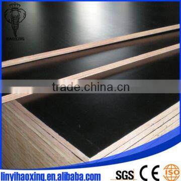 Film Faced Plywood for Formwork in Linyi photo-2