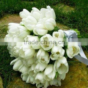 Export High quality graceful tulip bouquet fresh flower From Sunshine Yunnan