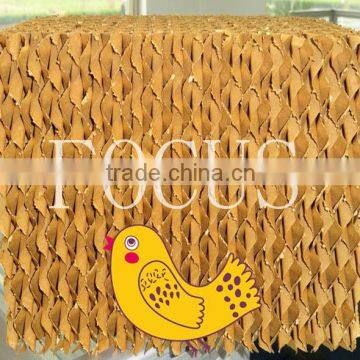 evaporative chicken cooling system for poultry house