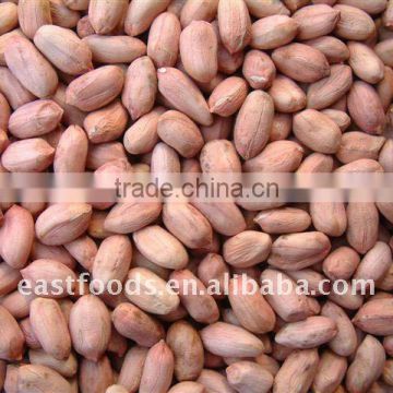 2013 crop chinese blanched peanut kernel