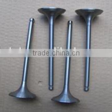 Changzhou Diesel Parts S195 Engine Valves