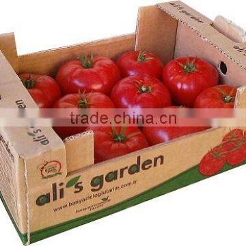 Fresh Tomato photo-5