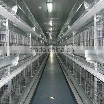 H frame breeder raising system