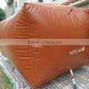 Biogas Balanced Type Gas Water Heater/ Gas Boiler/Water Boiler photo-4