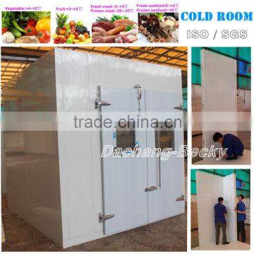 Cold room and freezer room model DCWR(F)-30 for vegetable and meat