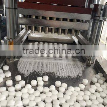 Different languages operation support SYST-200 salt tablets/blocks hydraulic press machine