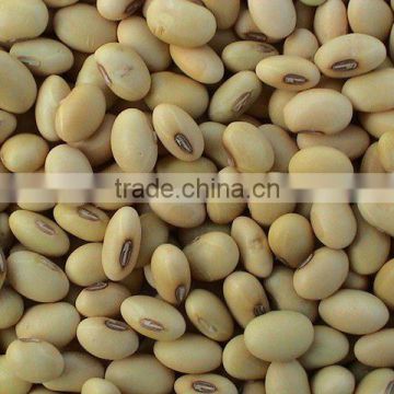 Soybean P.E. Standard Herbal Extract 20%, 40% HPLC