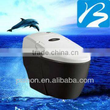 Intelligent Sanitary Ware Toilet For Home