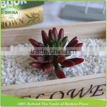 Holiday Table Bridal Showers Yard Home Wedding airplant decor fake mini succulents plant artificial walls