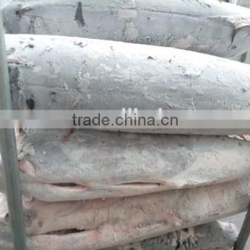 wholesale sword fish sea frozen swordfish HGT