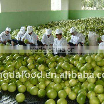 Fresh Chinese Honey Pomelo Price