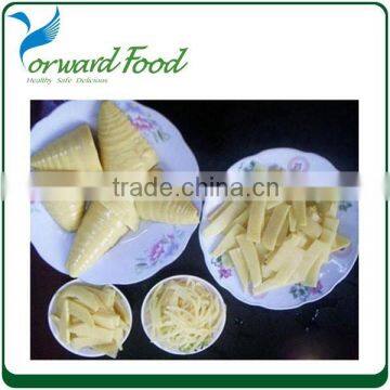 227g Private Label Canned Bamboo Shoot Strips in Tin