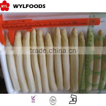 frozen asparagus white 2015 crop china