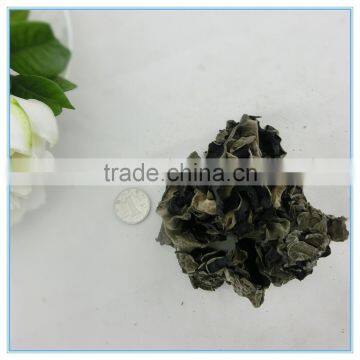 Manufacturer Chinese fresh Jew's dried black tree wood ear mushroom