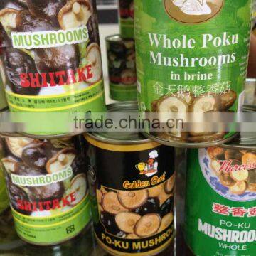 Whole fresh shiitake mushroom in can